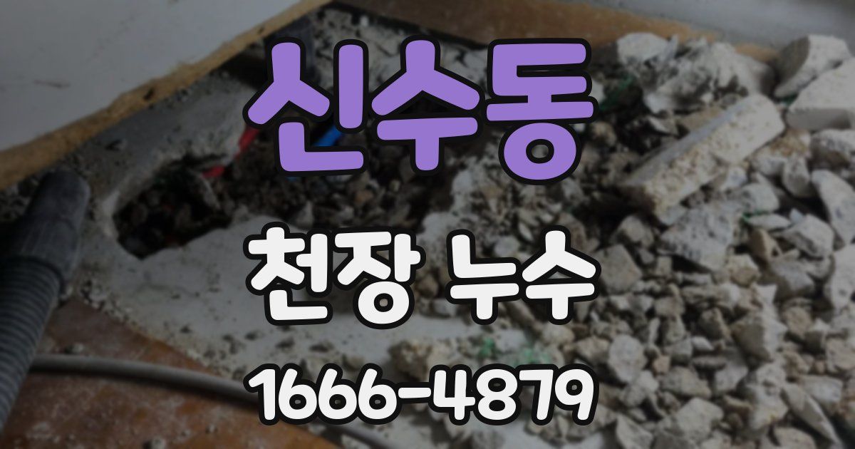 신수동 천장 누수