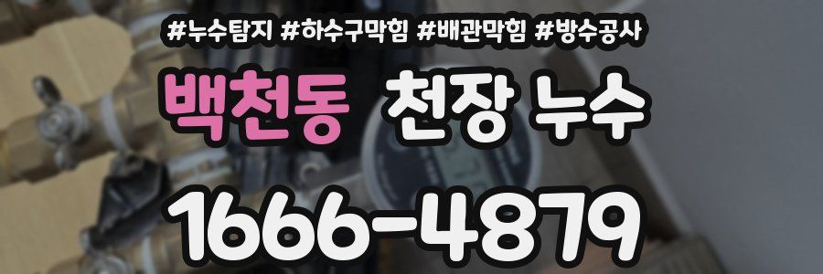 백천동 천장 누수