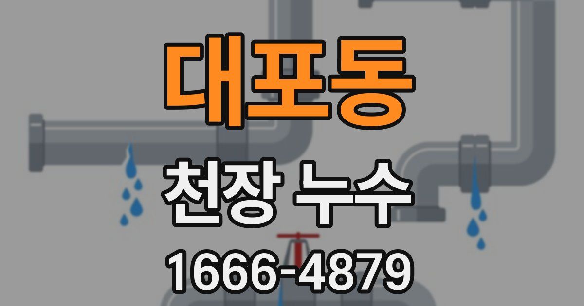대포동 천장 누수