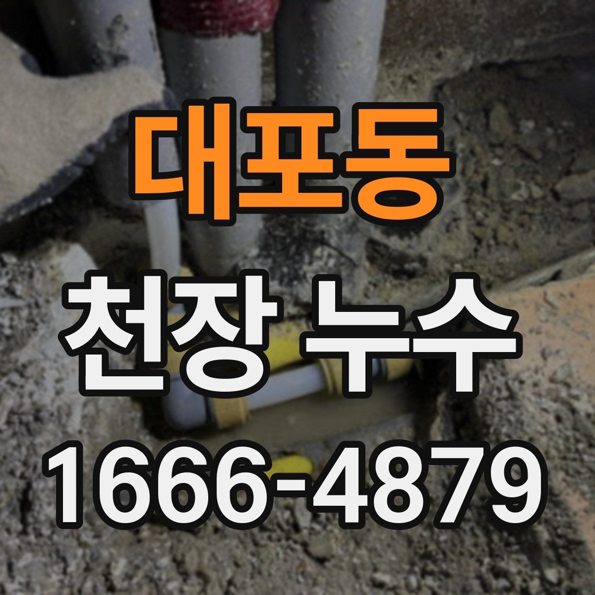 대포동 천장 누수