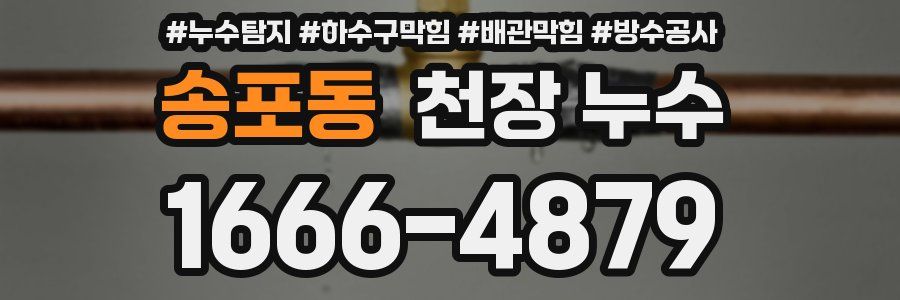 송포동 천장 누수