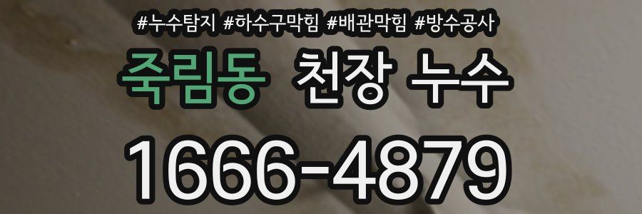 죽림동 천장 누수