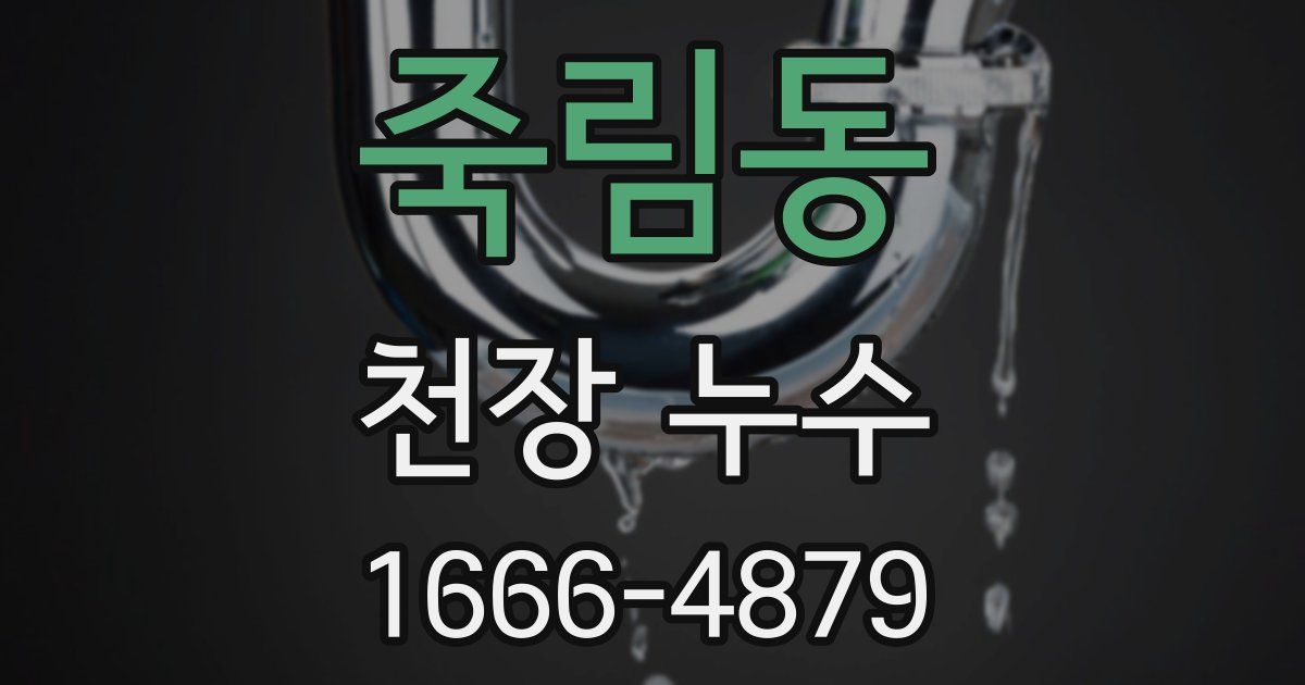죽림동 천장 누수
