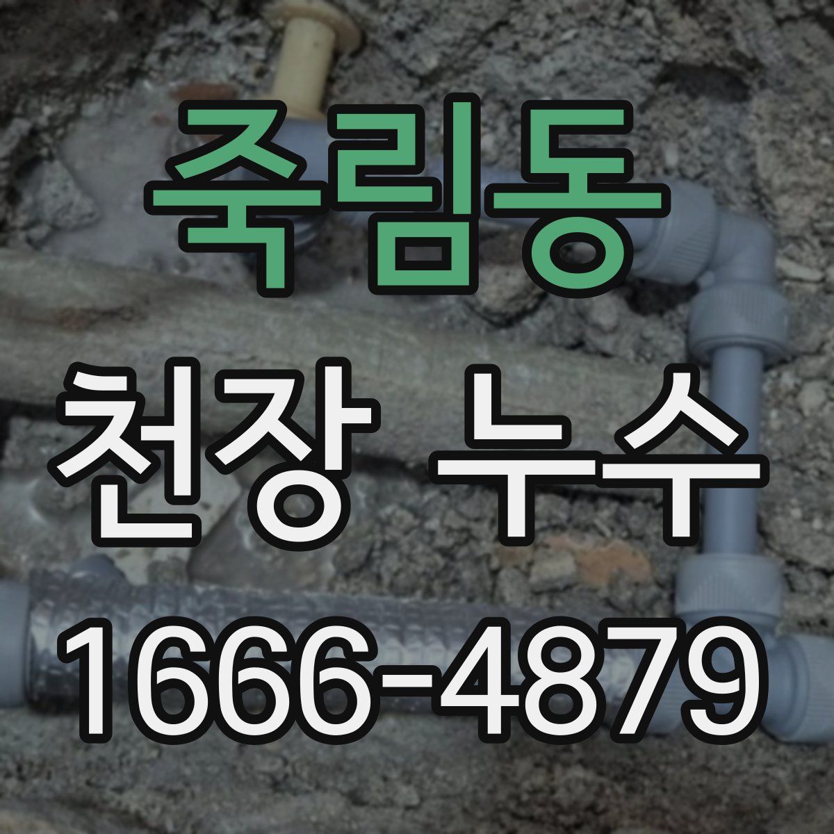 죽림동 천장 누수