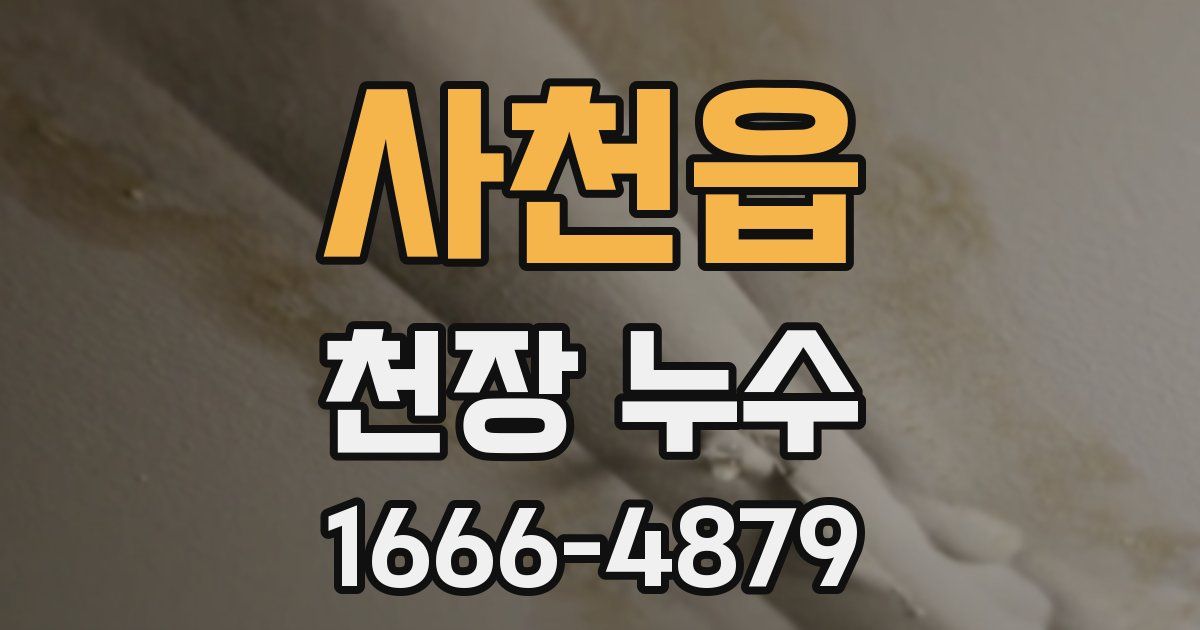 사천읍 천장 누수