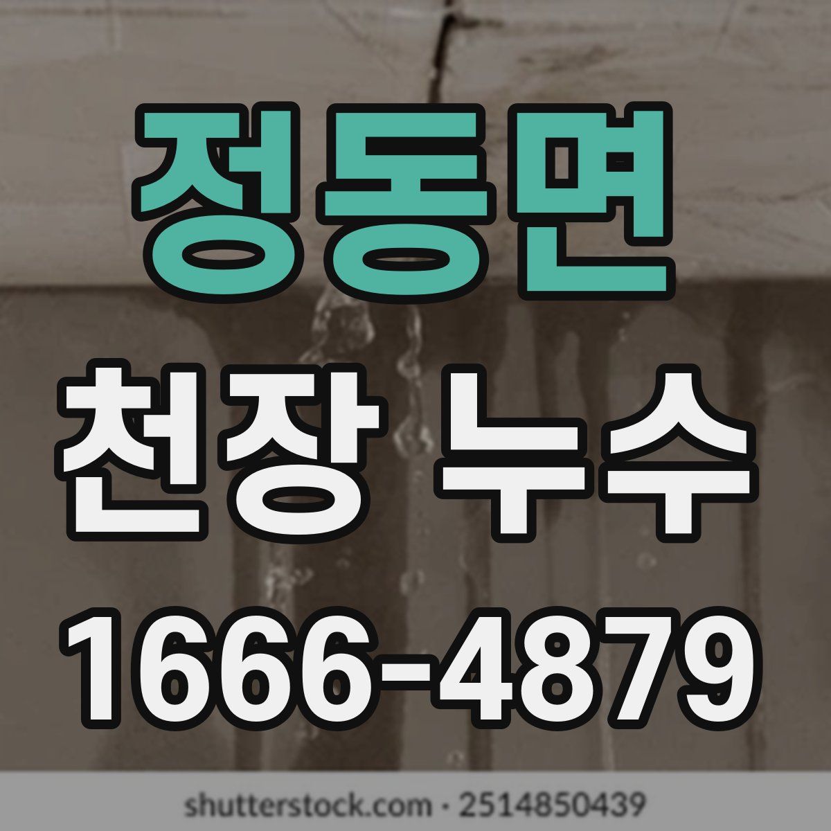 정동면 천장 누수
