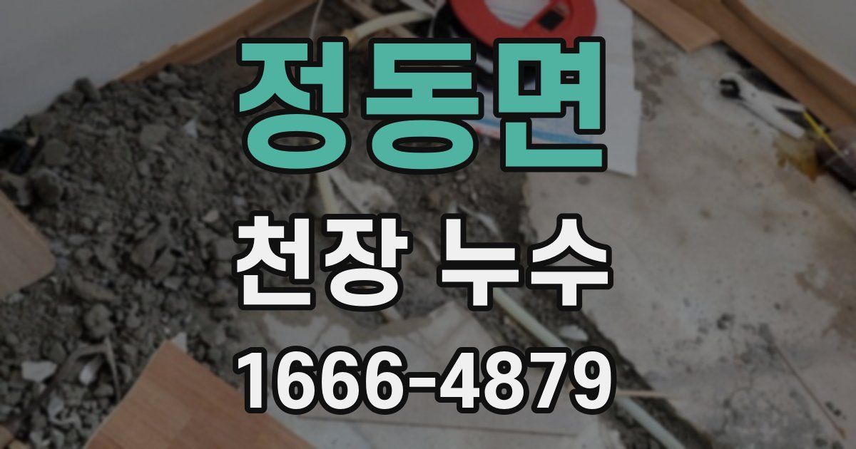 정동면 천장 누수