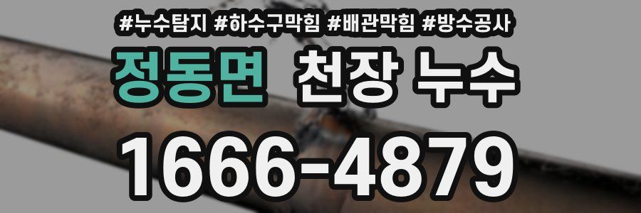 정동면 천장 누수