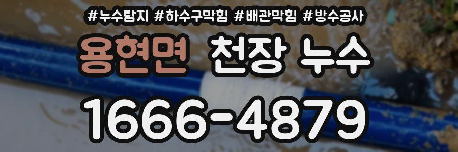 용현면 천장 누수