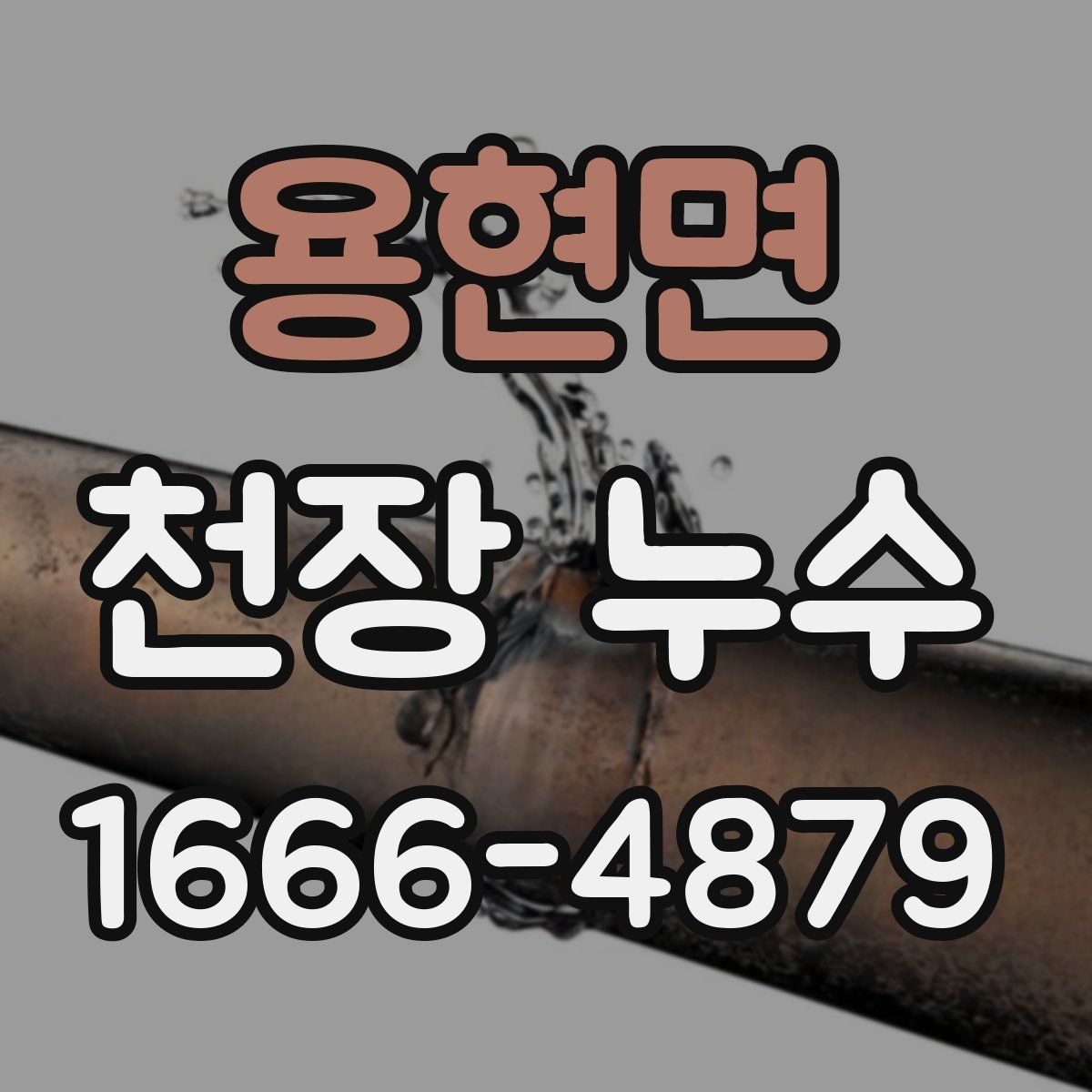 용현면 천장 누수