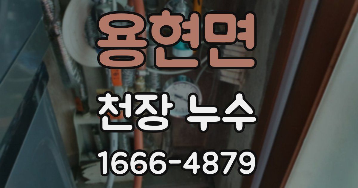 용현면 천장 누수