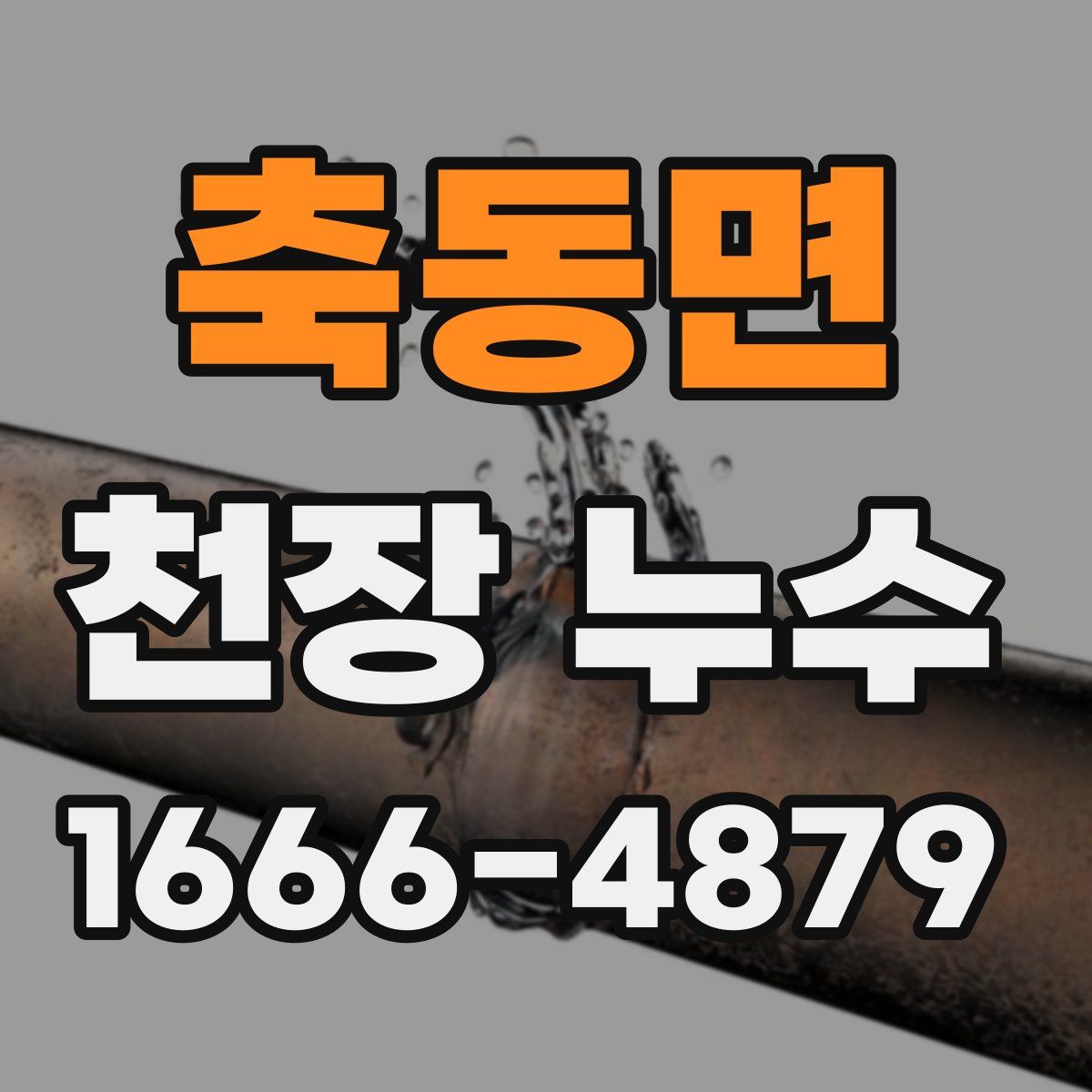 축동면 천장 누수