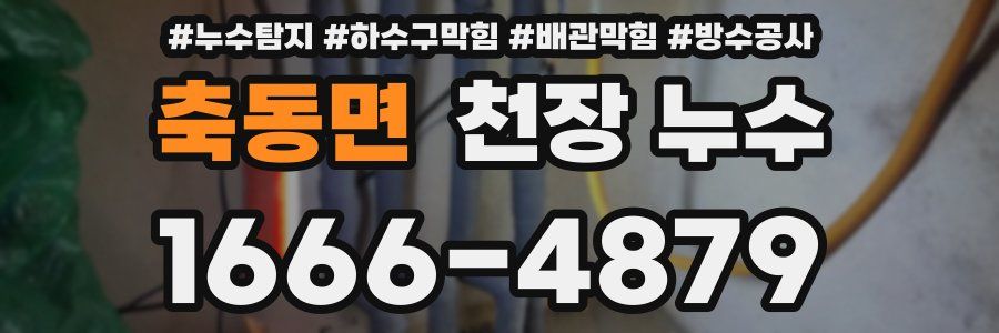 축동면 천장 누수