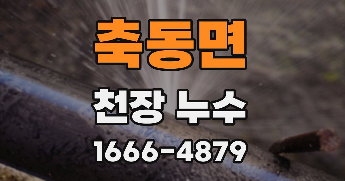 축동면 천장 누수