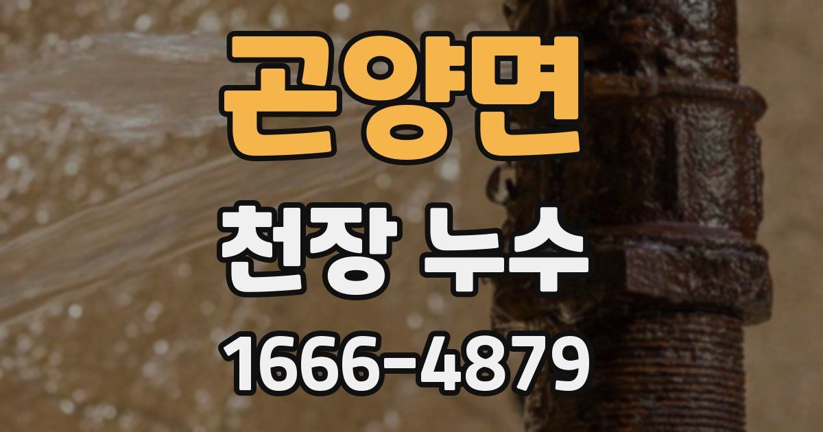 곤양면 천장 누수