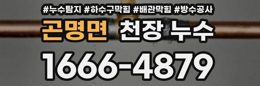 곤명면 천장 누수