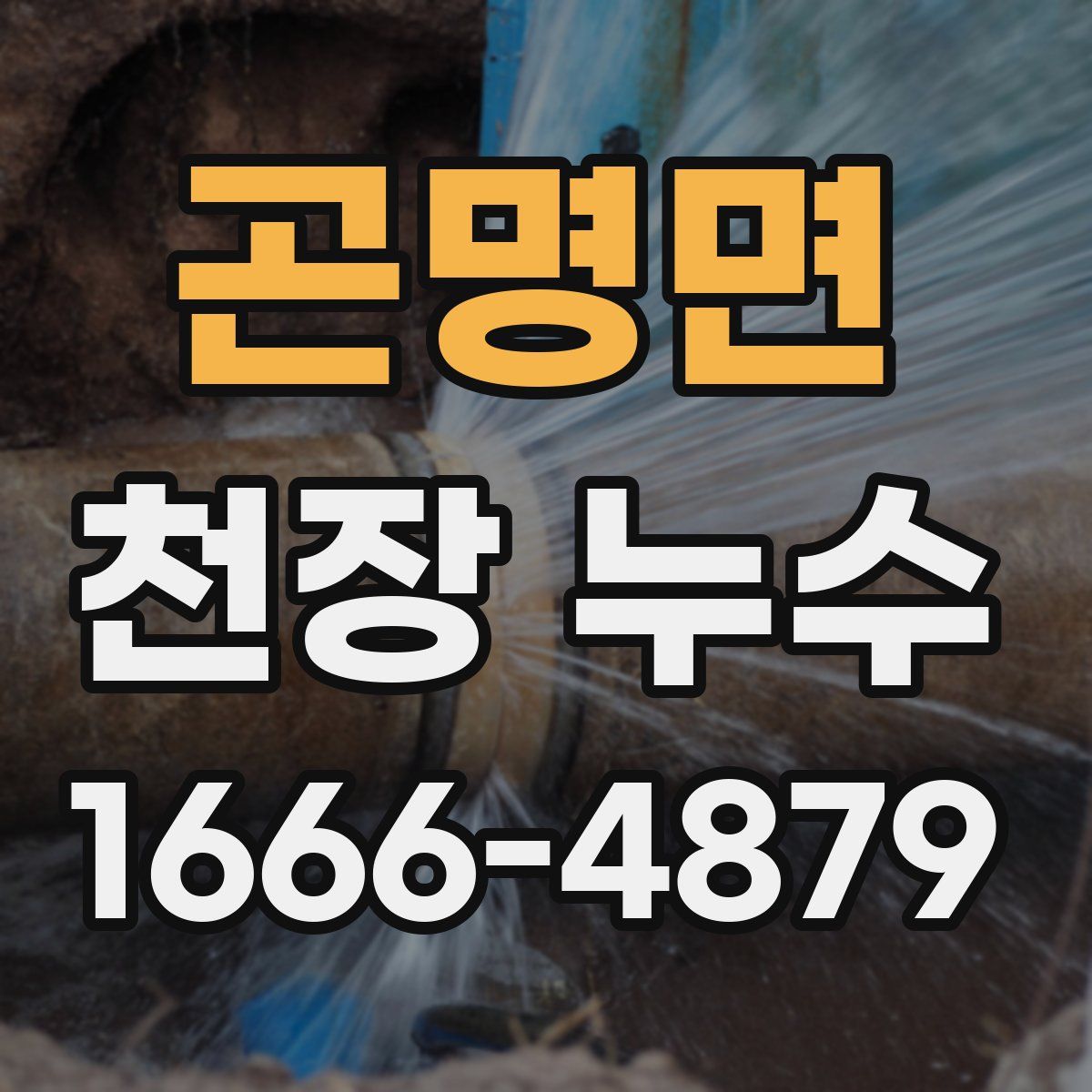 곤명면 천장 누수