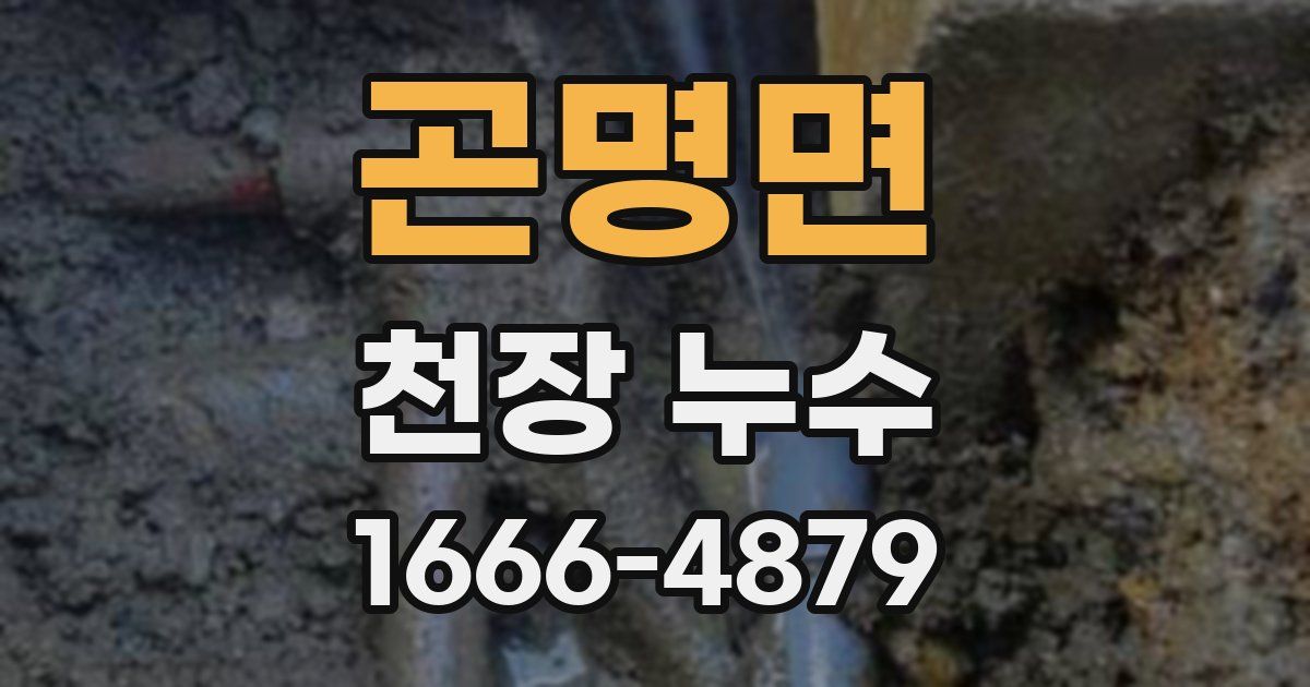 곤명면 천장 누수