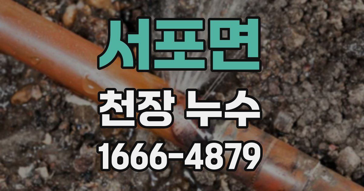 서포면 천장 누수