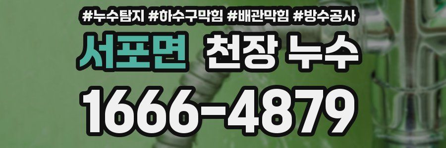 서포면 천장 누수