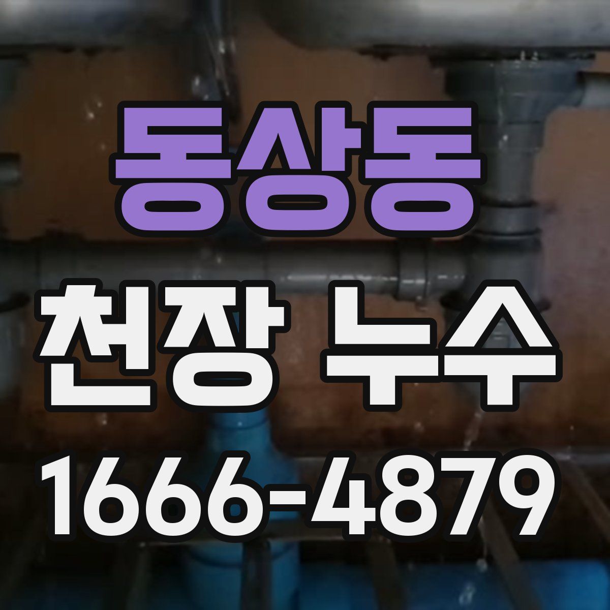 동상동 천장 누수