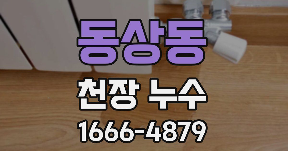 동상동 천장 누수