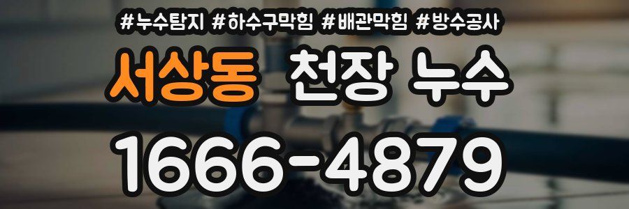 서상동 천장 누수