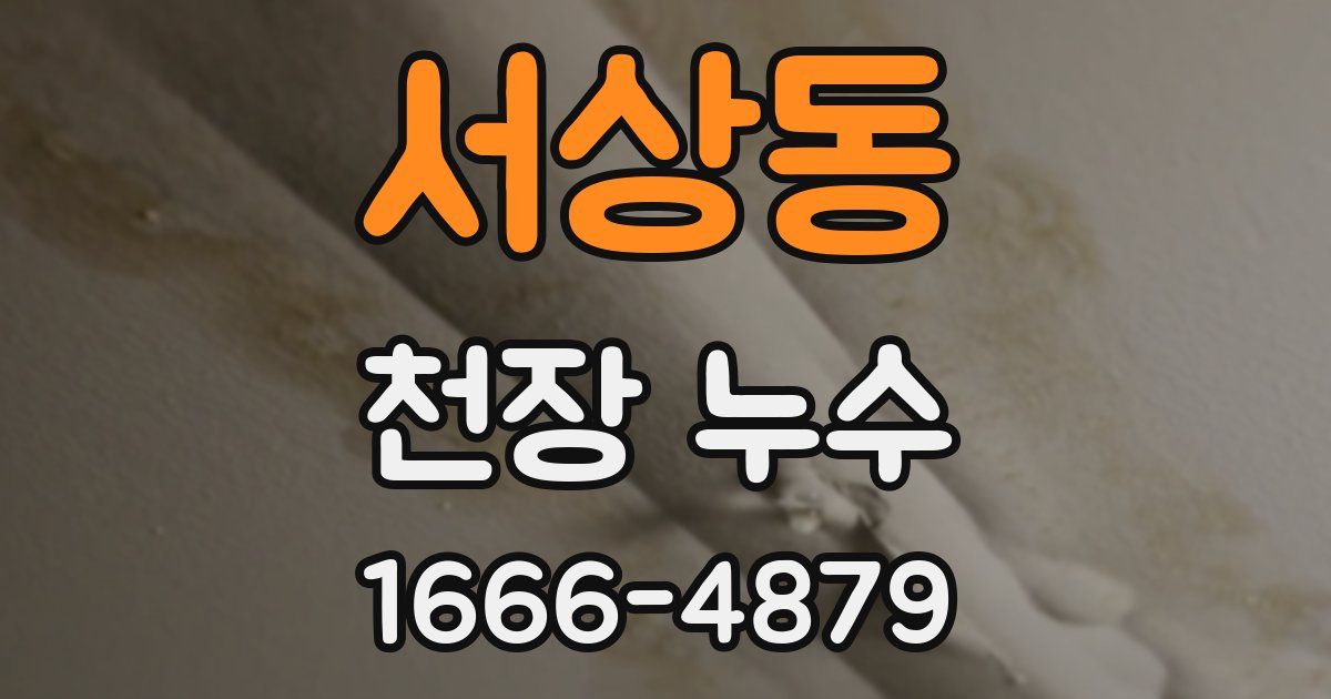 서상동 천장 누수
