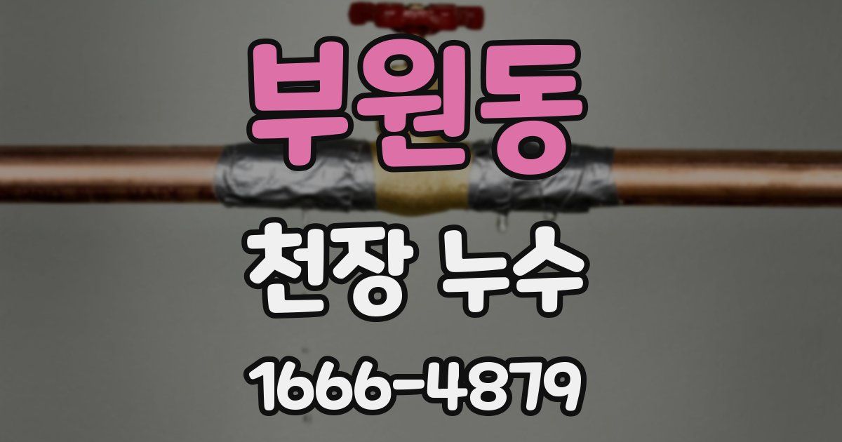 부원동 천장 누수