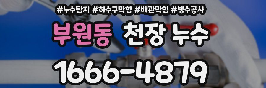 부원동 천장 누수