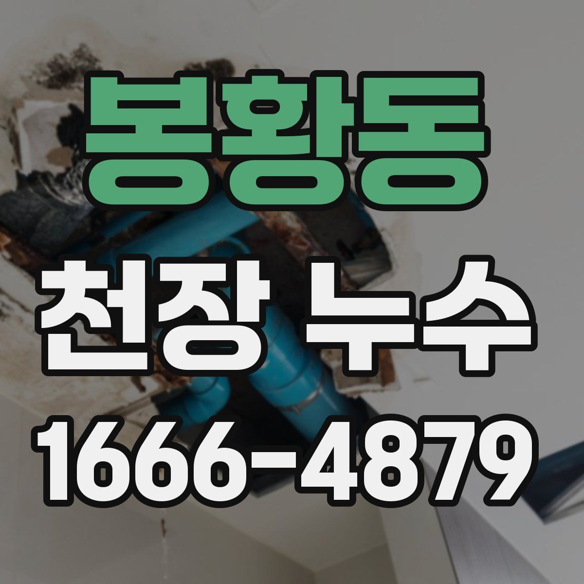 봉황동 천장 누수