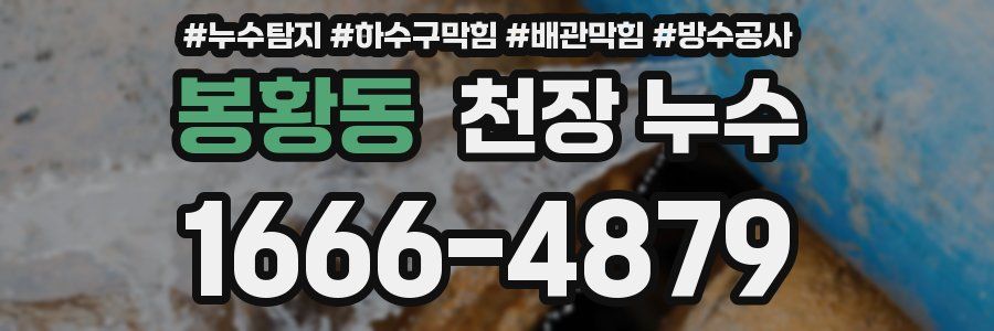 봉황동 천장 누수