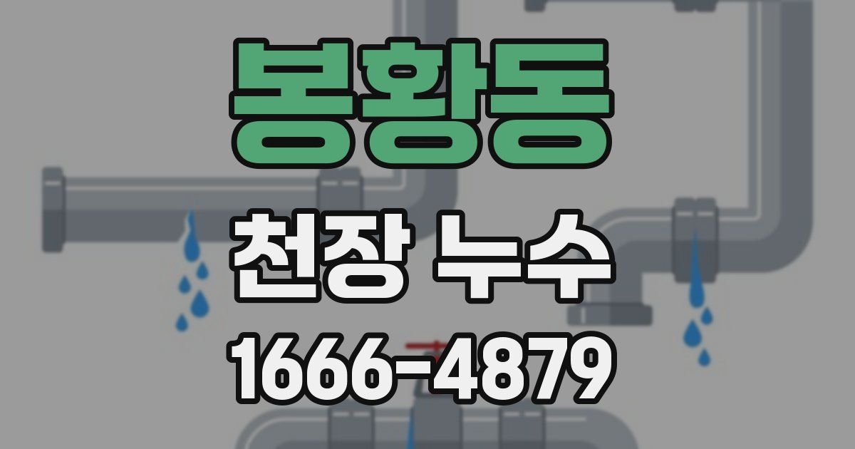 봉황동 천장 누수