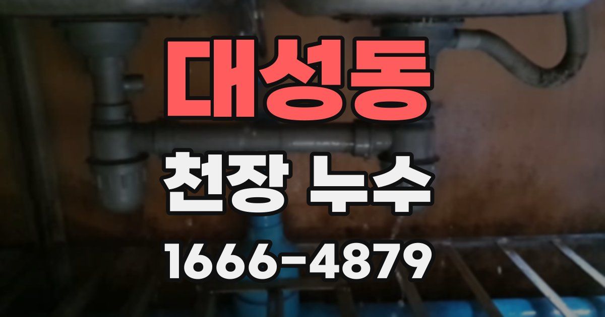 대성동 천장 누수