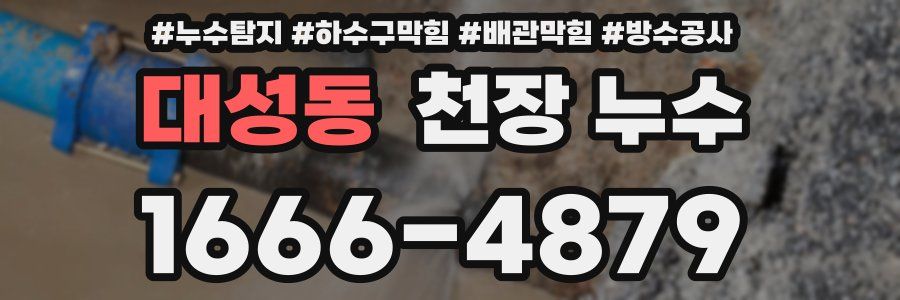 대성동 천장 누수