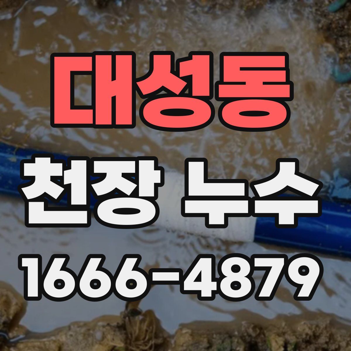 대성동 천장 누수