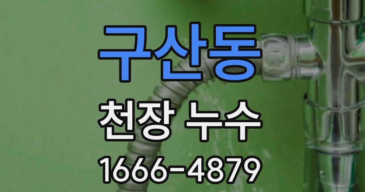 구산동 천장 누수