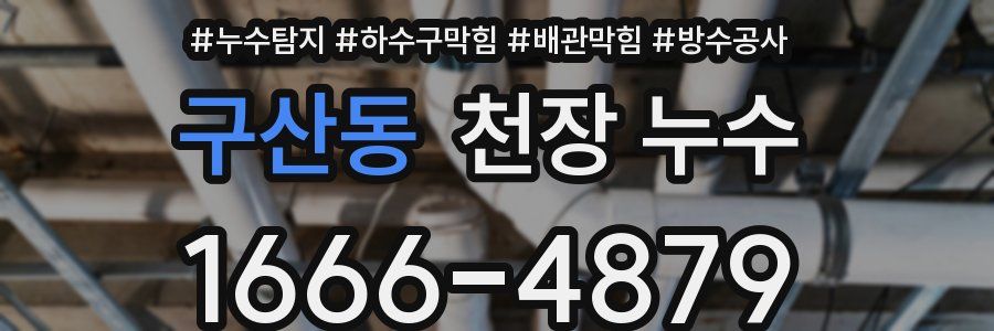 구산동 천장 누수