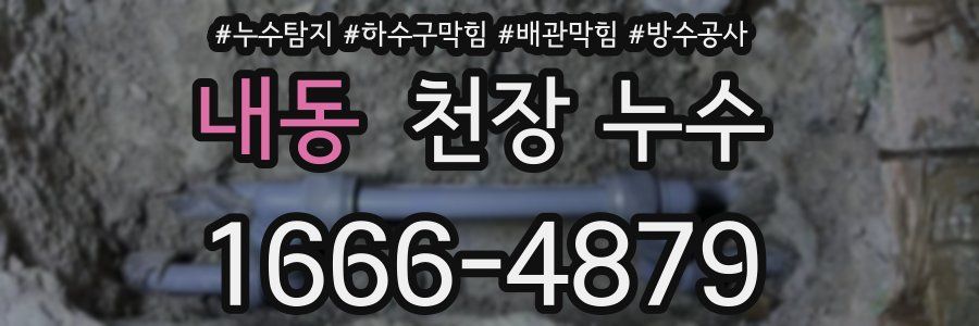내동 천장 누수