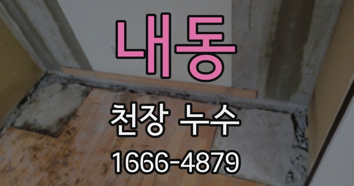 내동 천장 누수