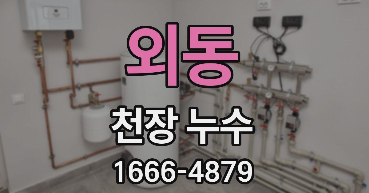 외동 천장 누수