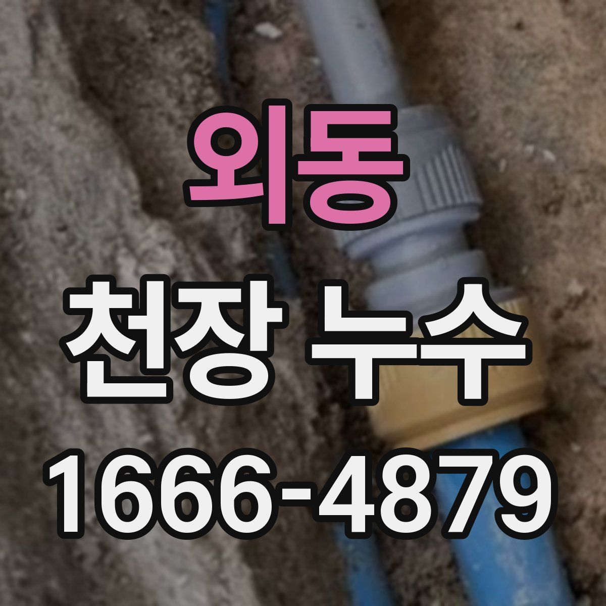 외동 천장 누수