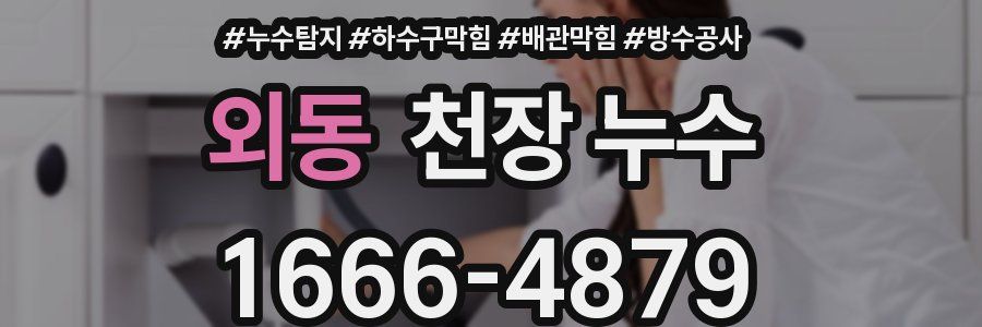 외동 천장 누수