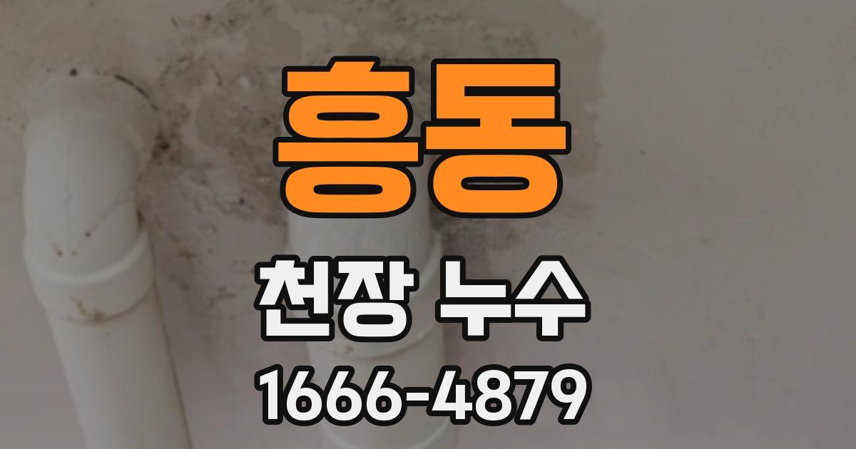 흥동 천장 누수