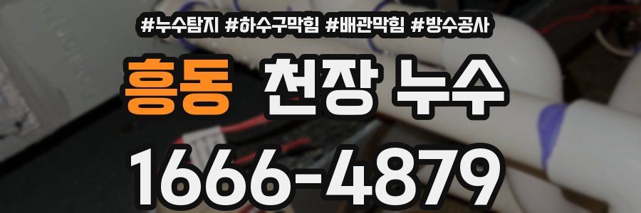 흥동 천장 누수