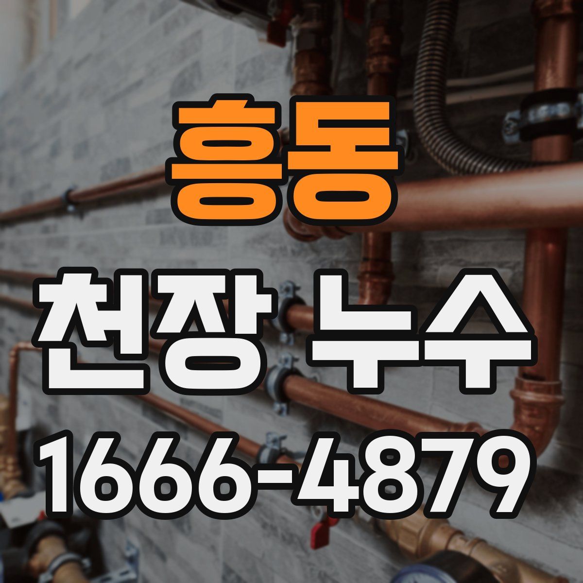 흥동 천장 누수