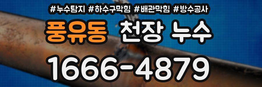 풍유동 천장 누수