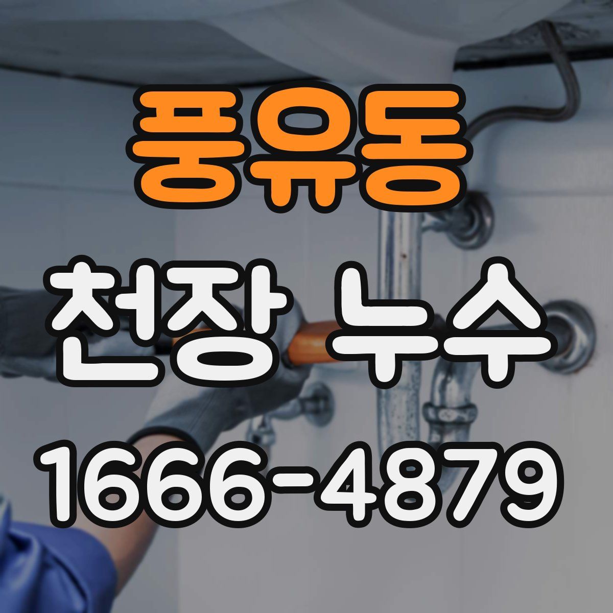 풍유동 천장 누수