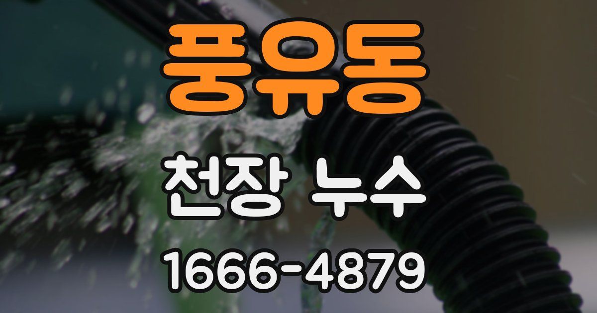 풍유동 천장 누수