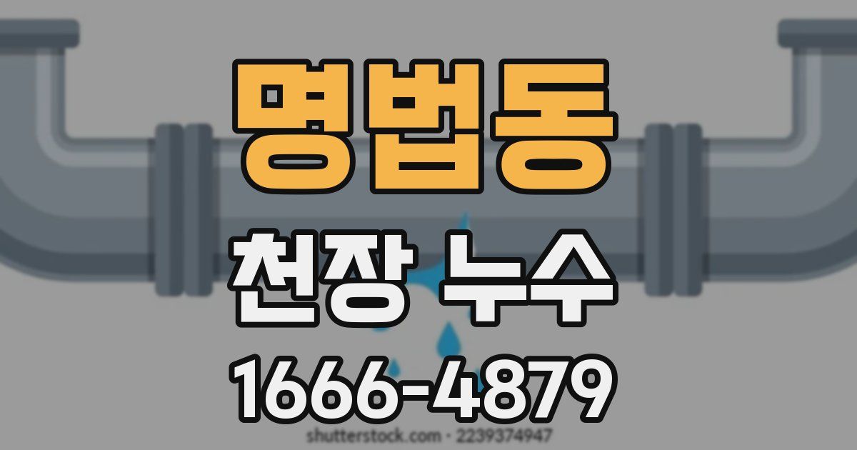 명법동 천장 누수